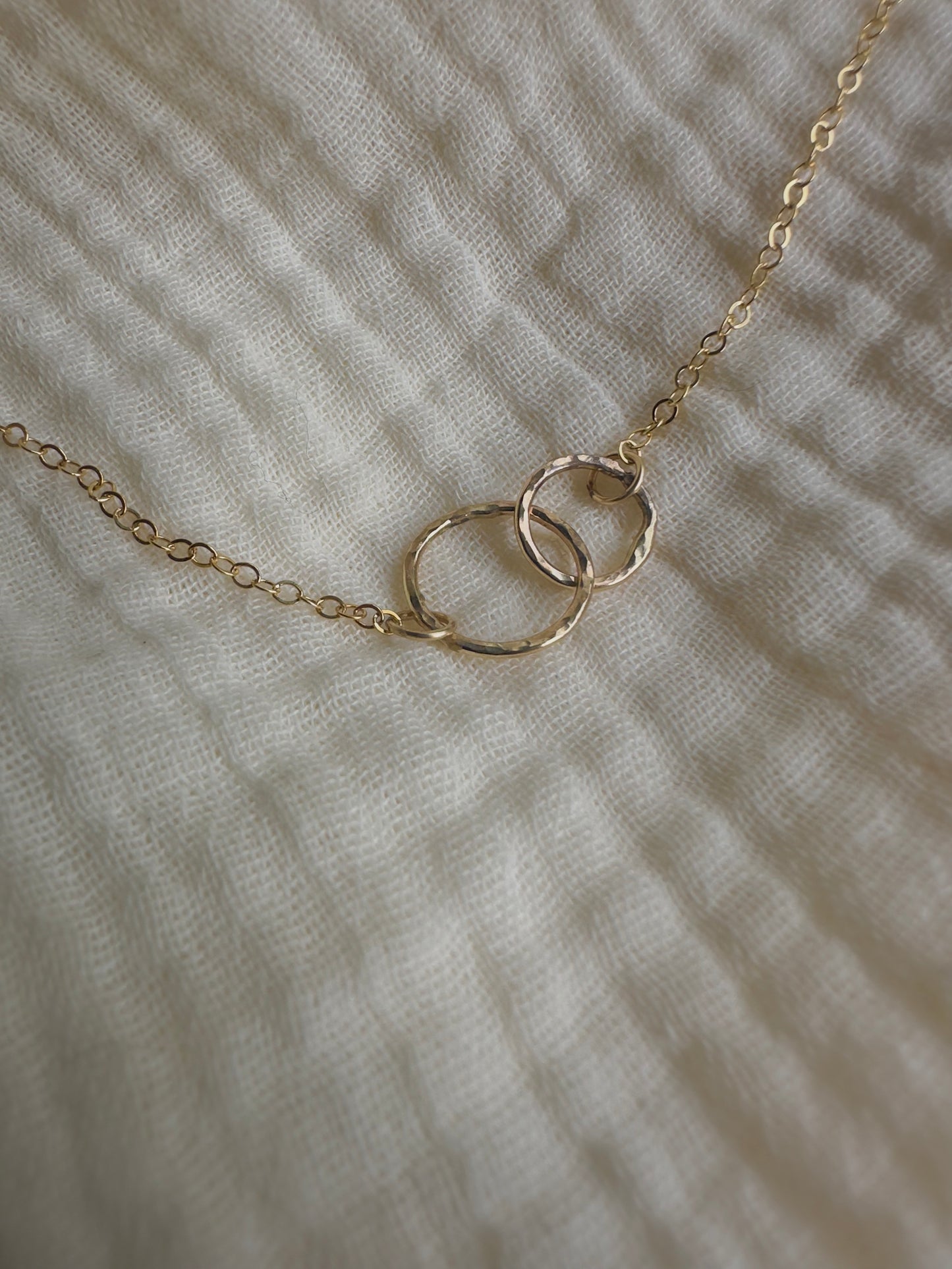 Double Circle Necklace
