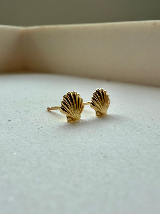 Shell Studs